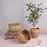 粗陶绿植大花盆