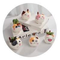 手彩有尾小猫