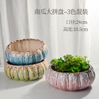 南瓜大拼盆（16个/箱）